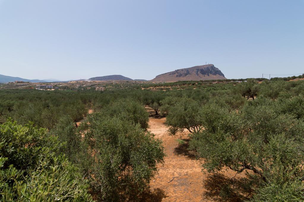Athena Villas Olive Grove & Estate Gouves Exteriér fotografie